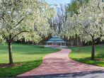 Northern Virginia regional park in spring with crab apple trees in bloom.