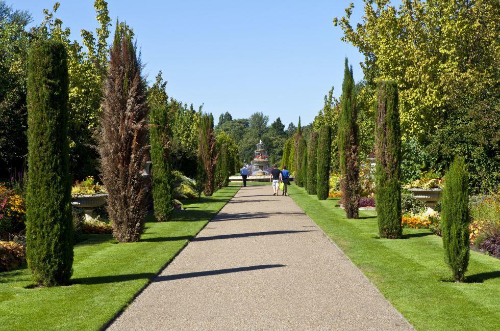 The beautiful Regent's Park in London.