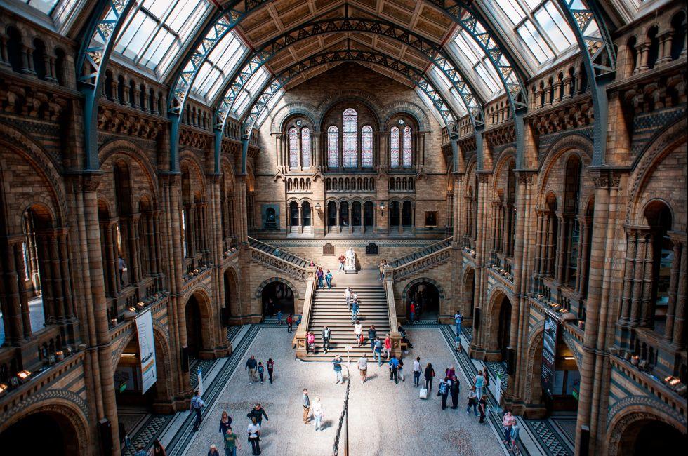 Natural History Museum, Kensington, London, England.