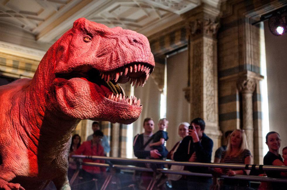 Natural History Museum, Kensington, London, England.