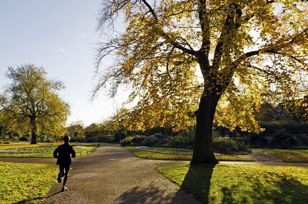 Women running in the morning. Hyde Park, London;
