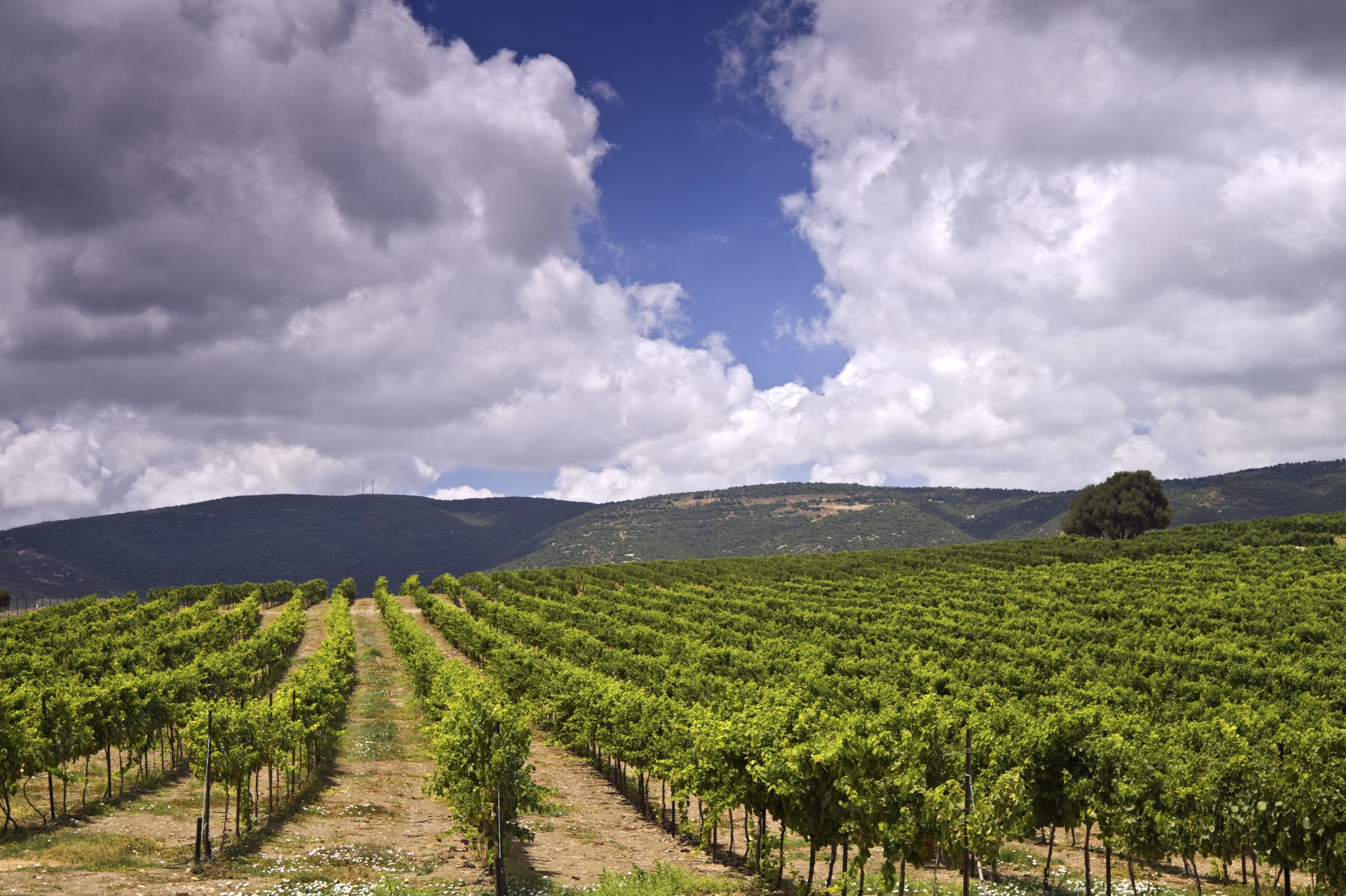 Upper Galilee and the Golan