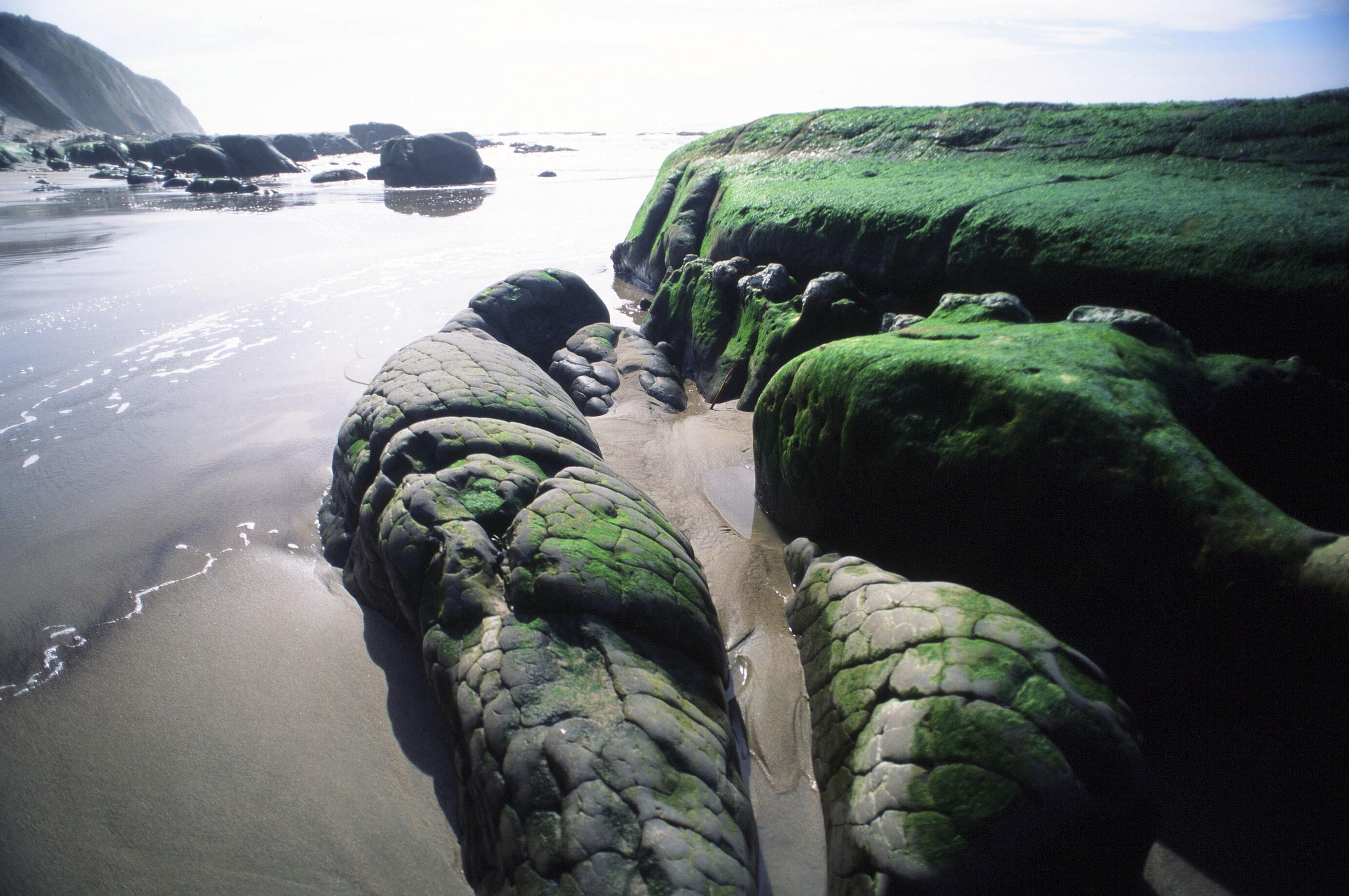 The North Coast