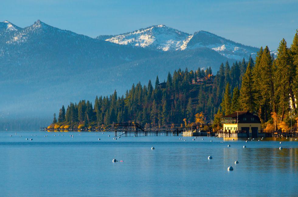 Trees in a forest at the lakeside, Carnelian Bay, Lake Tahoe, California, USA