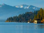 Trees in a forest at the lakeside, Carnelian Bay, Lake Tahoe, California, USA