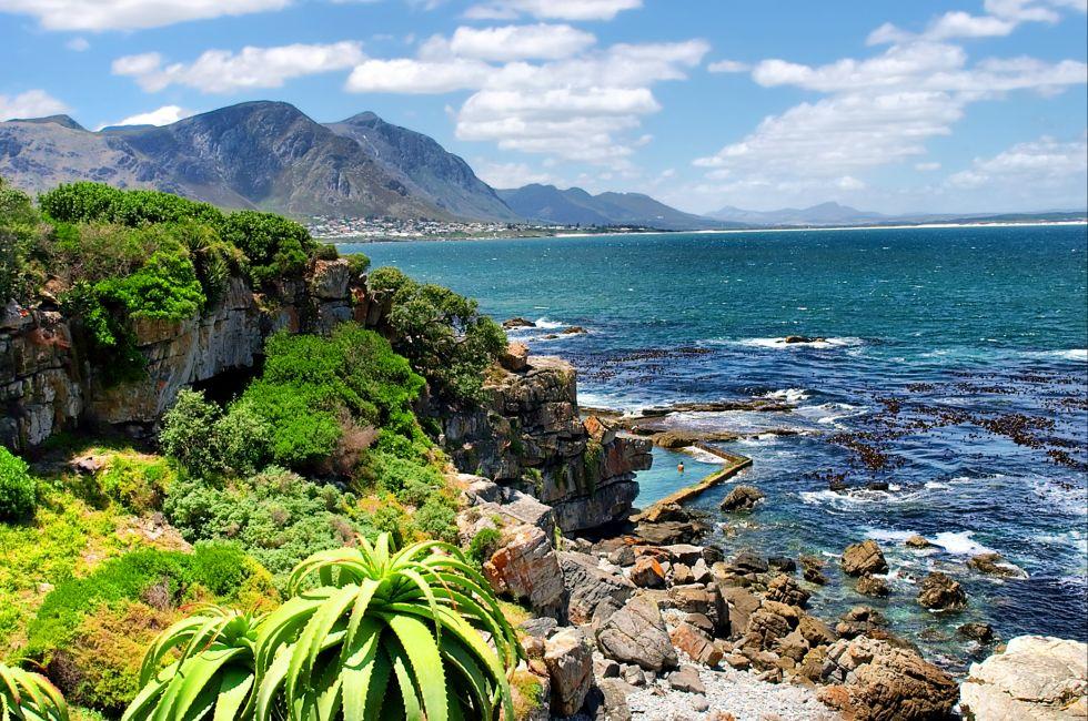 Tropical plants against awesome sea and rocks. Shot in Hermanus, Walker Bay, Western Cape, South Africa.; 