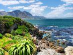 Tropical plants against awesome sea and rocks. Shot in Hermanus, Walker Bay, Western Cape, South Africa.; 