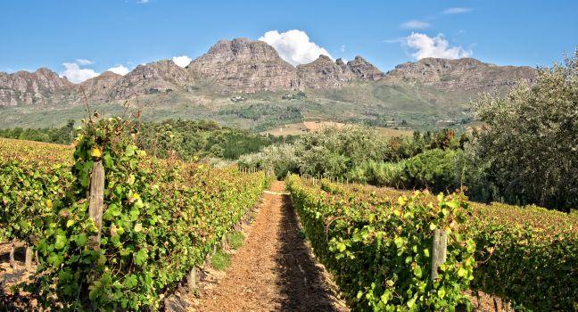 Stellenbosch, South Africa
