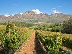 Stellenbosch, South Africa
