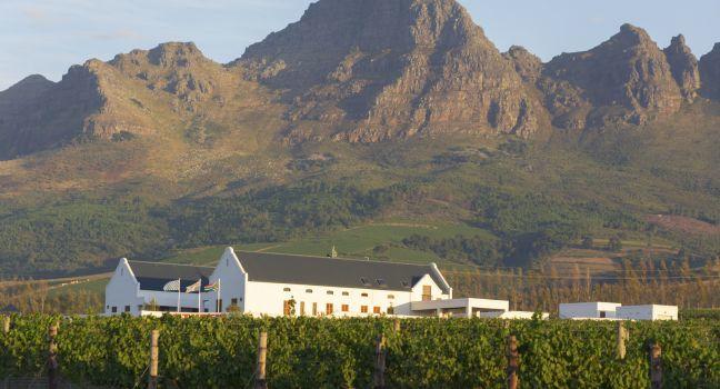 Landscape scenics of vineyards and mountains Stellenbosch Winelands, Western Cape, South Africa.