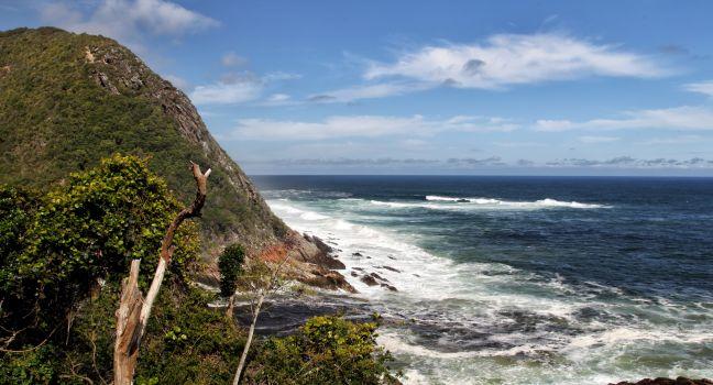 Coastal Landscape in the Tsitsikamma National Park, South Africa.