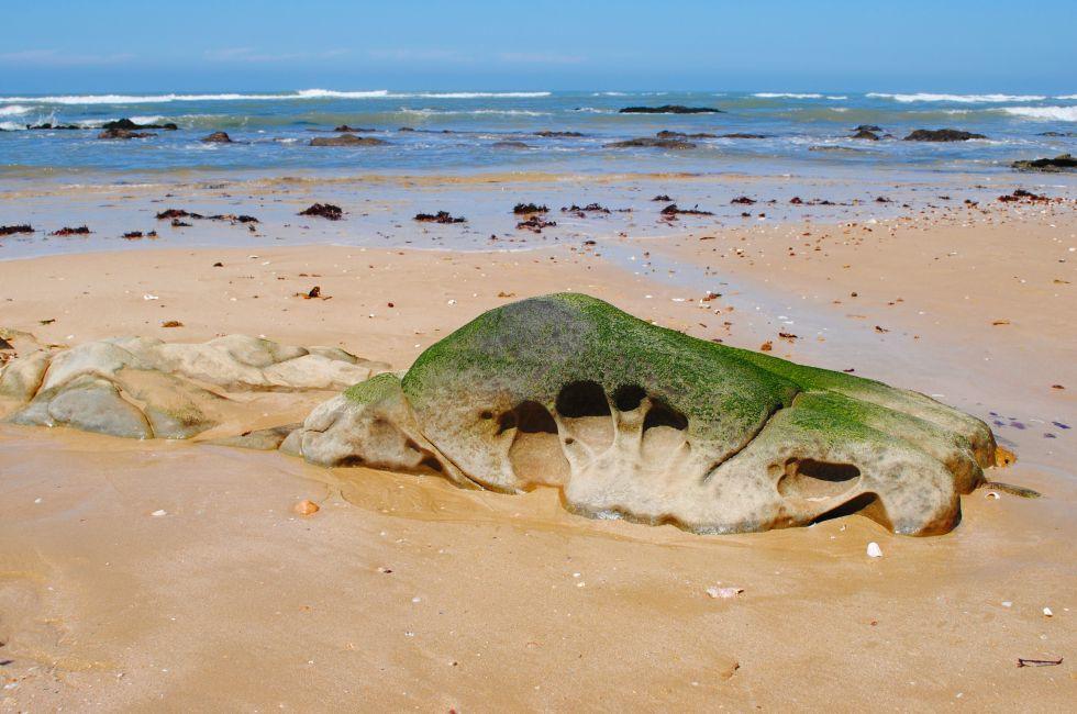 Eroded rock on beach with Algae, Port Alfred, Eastern Cape, South Africa; 