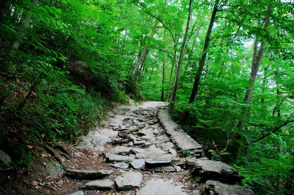 Wissahickon Park, Philadelphia, Pa