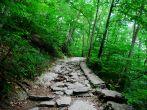 Wissahickon Park, Philadelphia, Pa