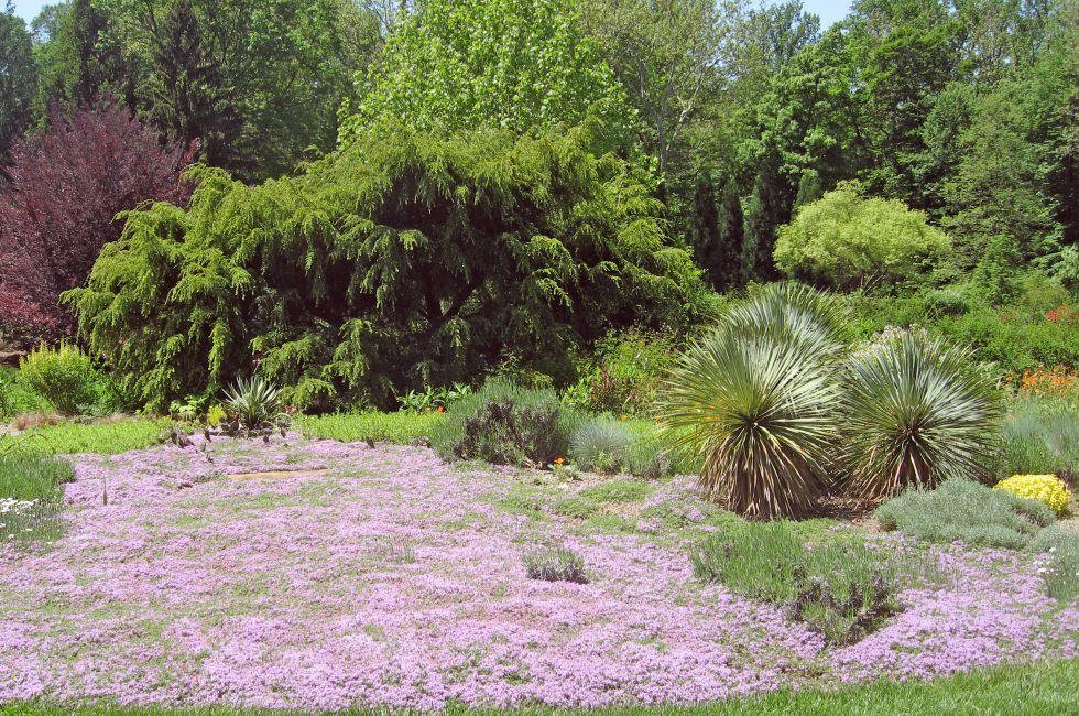 Chanticleer. Philadelphia, Pennsylvania.