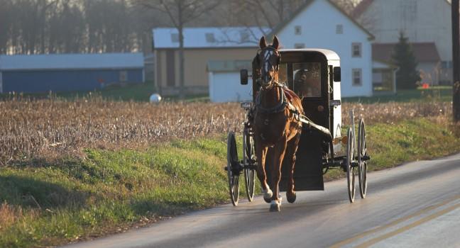 Amish horse and buggy, Chester County, Pennsylvania Dutch Country.