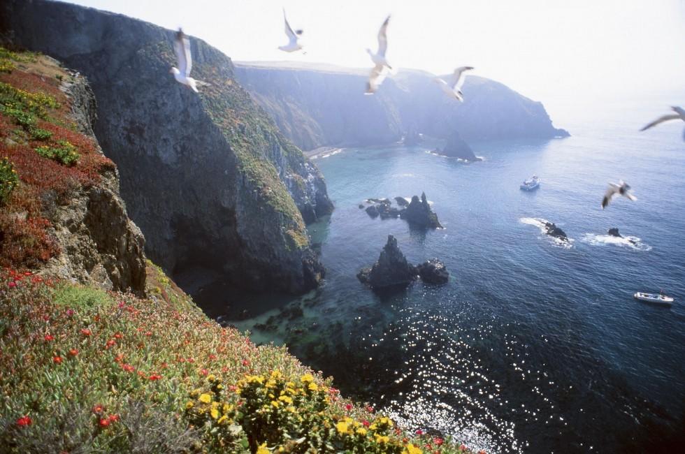 Anacapa Island, Channel Islands National Park off Ventura, California