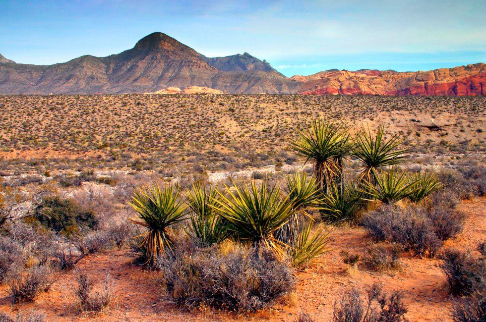 Red Rock Canyon, Nevada.