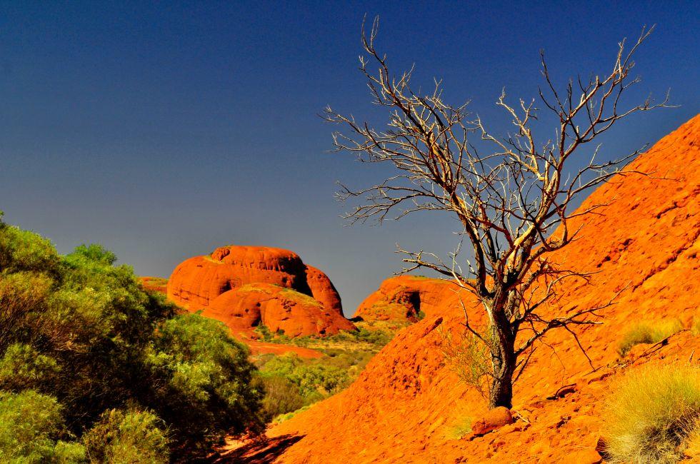 Australia red centre