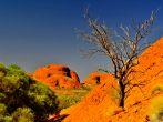 Australia red centre