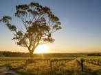 Beautiful sunset over Barossa Valley, South Australia