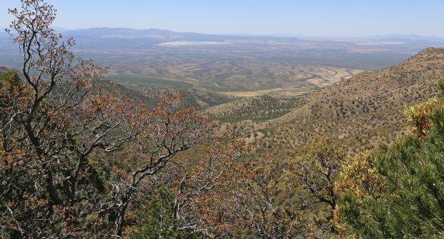 The view from high up in Madera Canyon, in the Santa Rita Mountains, located in Arizona, United States.
