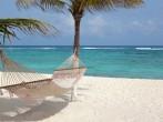 Idyllic beach with coconut trees and hammock at Mexico ; 