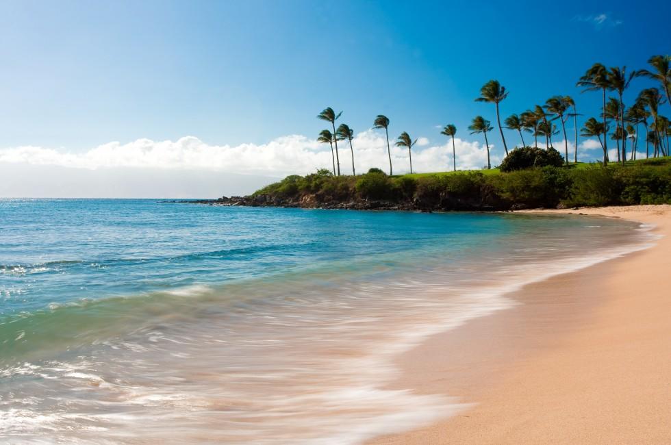 long exposure photo of kapalua bay and palm trees.