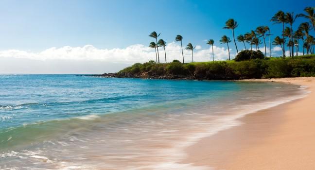 long exposure photo of kapalua bay and palm trees.