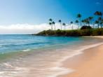 long exposure photo of kapalua bay and palm trees.