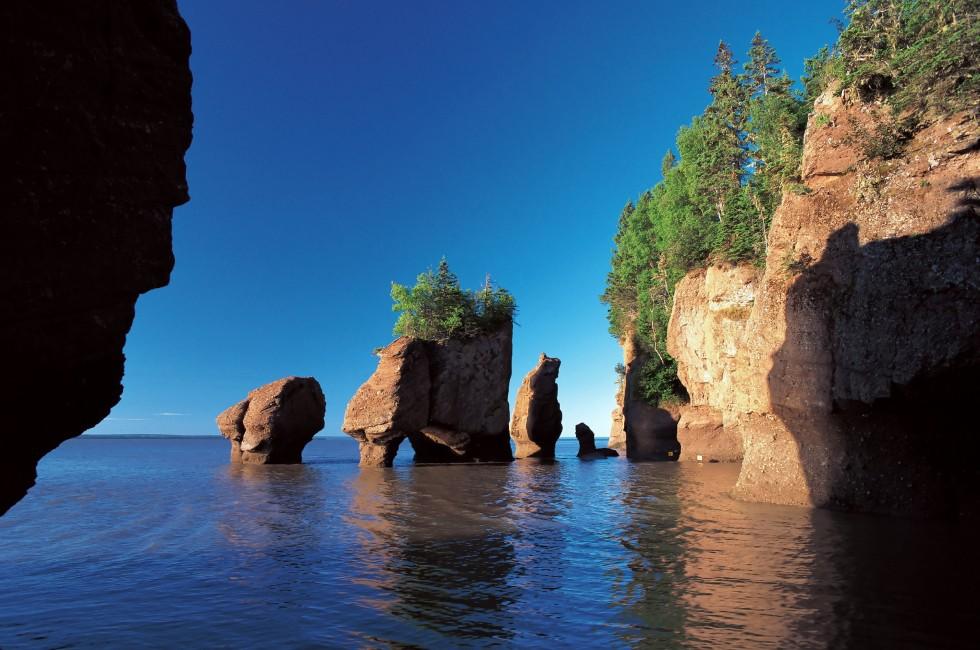 Bay of Fundy, New Brunswick, Canada; 