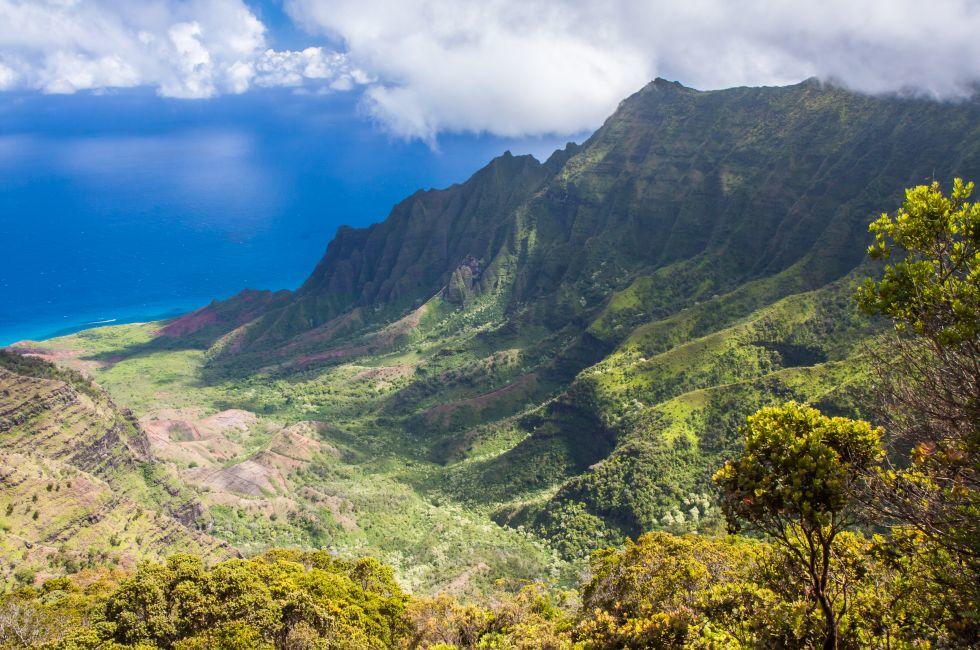 Wide angle panoramic view of the Kalalau Valley on the Na Pali Coast of Kauai, Hawaii. Taken from the Pu'u O Kila Lookout. Photo has white billowy clouds and a deep blue ocean in the background. Landscape shot, green foliage in foreground. cliffs in partia