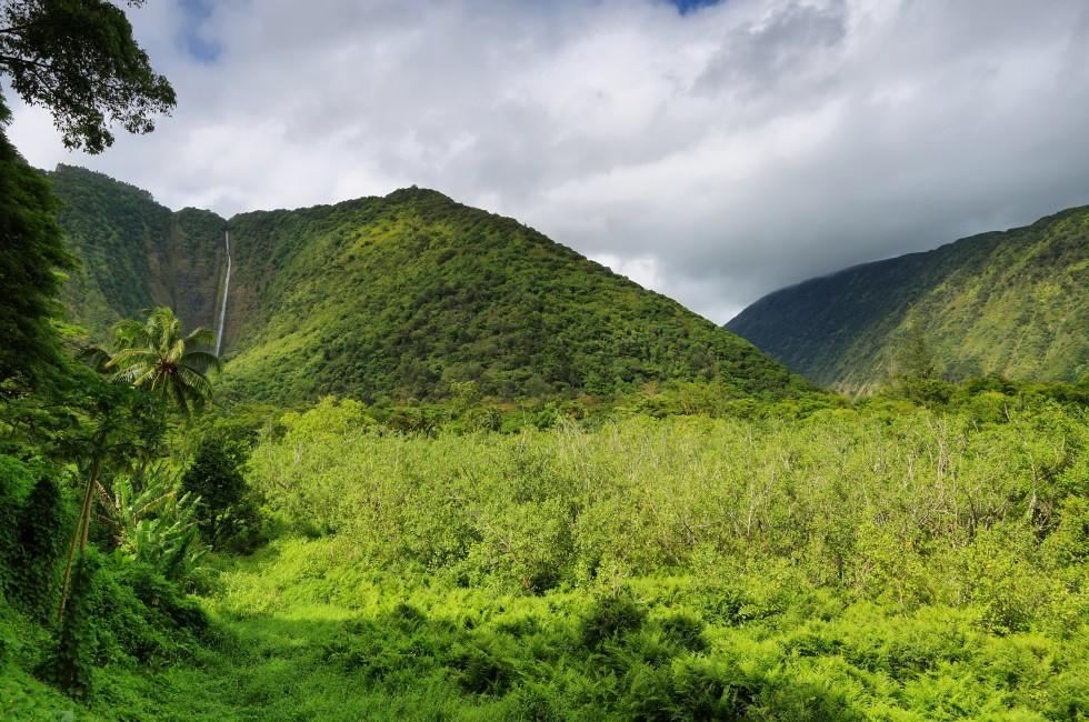 View of tall waterfall in Waipio Valley, Big Island, Hawaii.