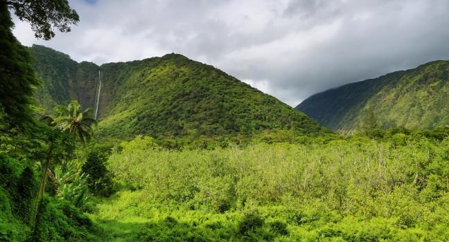 View of tall waterfall in Waipio Valley, Big Island, Hawaii.