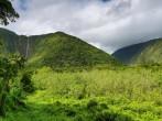 View of tall waterfall in Waipio Valley, Big Island, Hawaii.