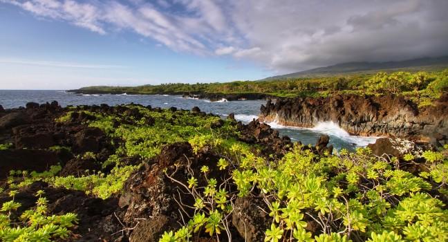View of the coast and lush vegetation in Waianapanapa State park, Maui island, Hawaii, USA. 