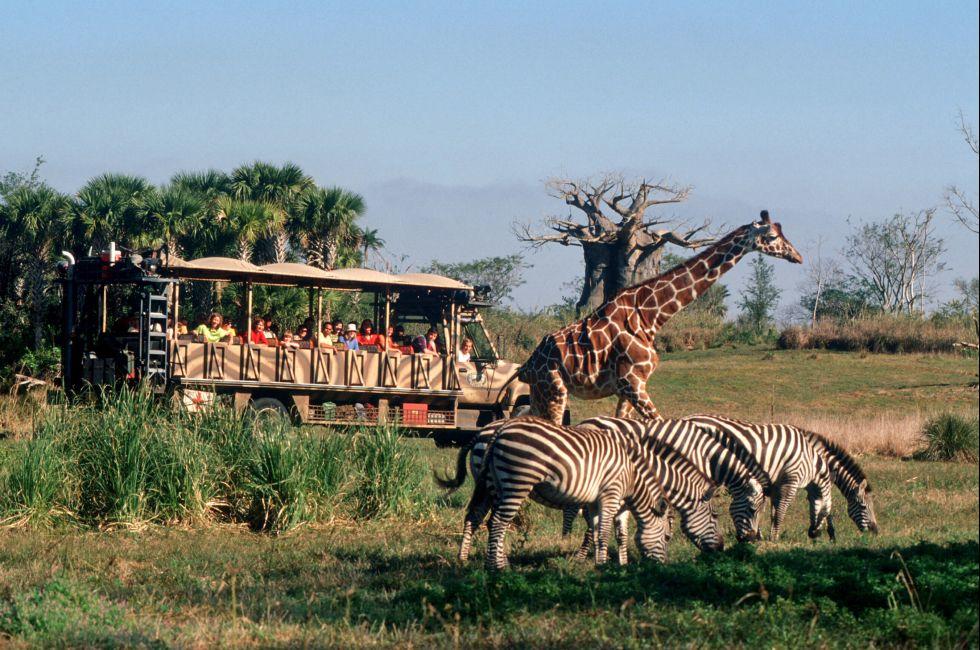 A Very Wild Time — Passengers journey through the “wild” savannah