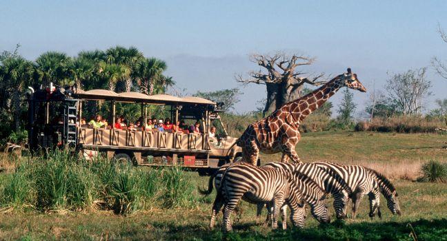 A Very Wild Time — Passengers journey through the “wild” savannah