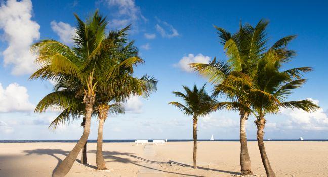 Secluded beach at Fort Lauderdale, Florida