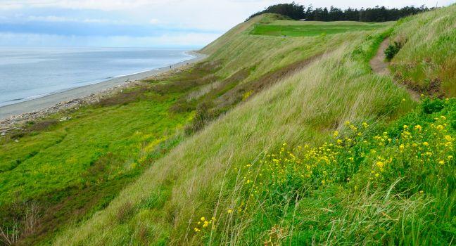 Coastline in beautiful ebey's landing national historic reserve, whidbey island, washington, usa; Shutterstock ID 63541219; Project/Title: 20 Best Day Trips in the U.S.; Downloader: Fodor's Travel