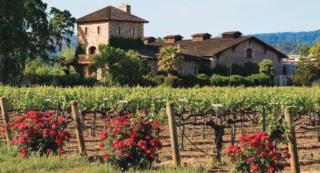Winery in Napa Valley