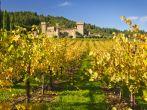 Castello di Amorosa, Napa valley vineyard; 