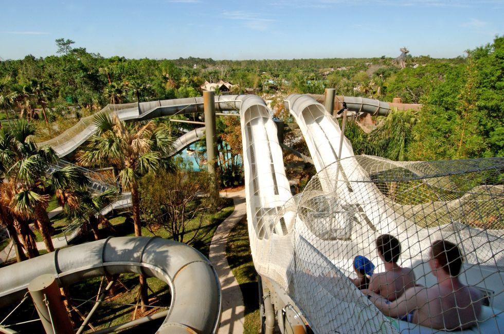 GUSHING GOOD TIMES!: Water park thrill seekers are in for a surprise as they defy gravity on Crush ‘n’ Gusher, a n”water coaster” ride at Disney’s Typhoon Lagoon at Walt Disney World Resort in Lake Buena Vista, Fla. Three