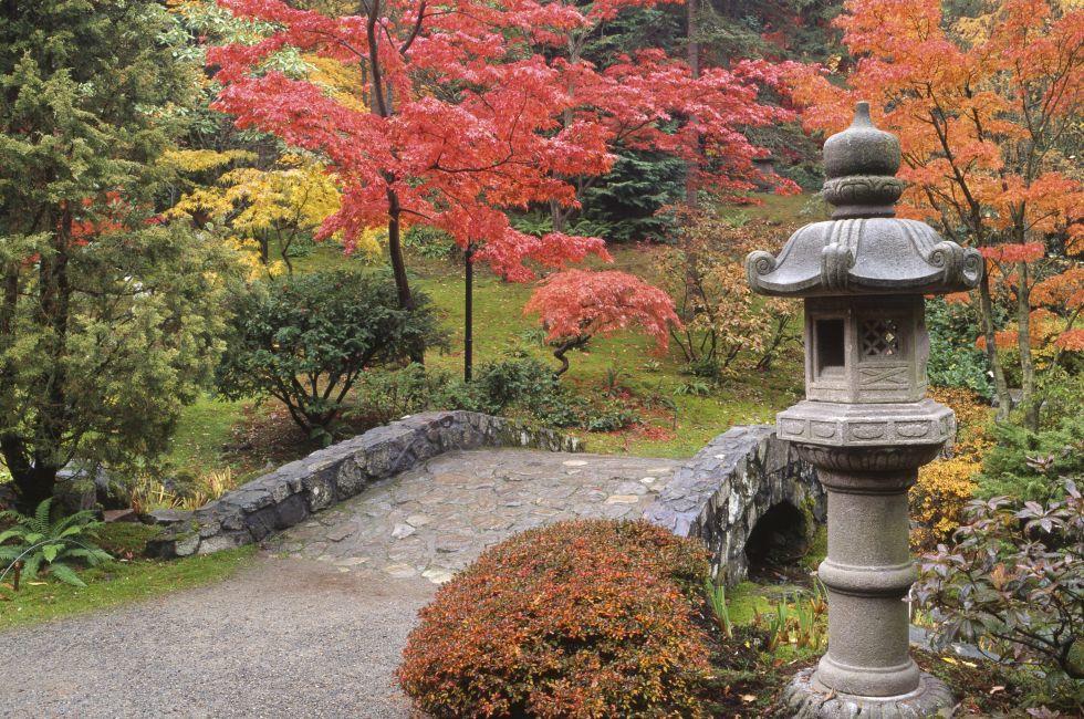 Japanese Garden in Autumn; Washington Park Arboretum; Seattle, Washington; USA.