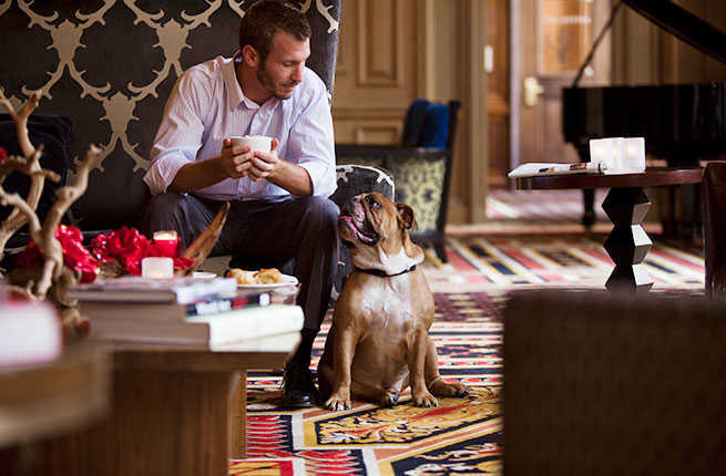 9 Pet-Friendly Hotel Chains