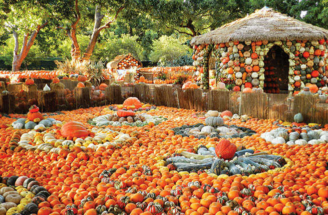 America's Best Pumpkin Festivals – Fodors Travel Guide