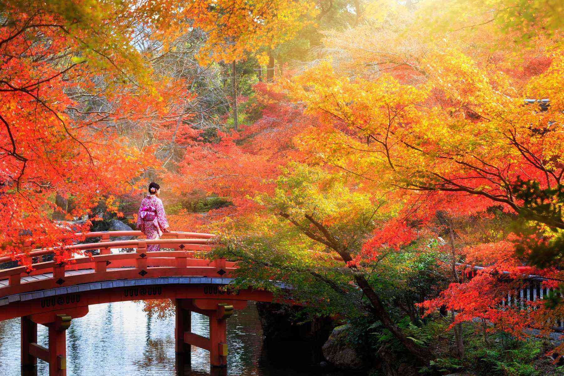15 Places Around the World to See Gorgeous Fall Foliage – Fodors Travel