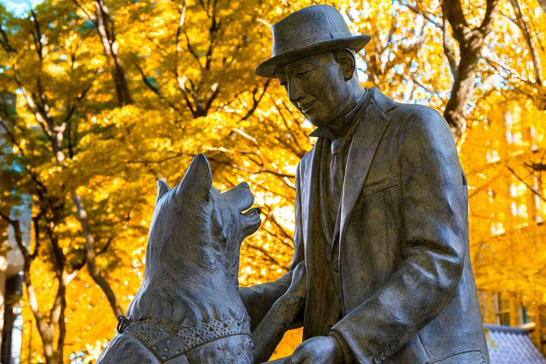 Memorable Mutts 11 Dogs Monuments Around the World