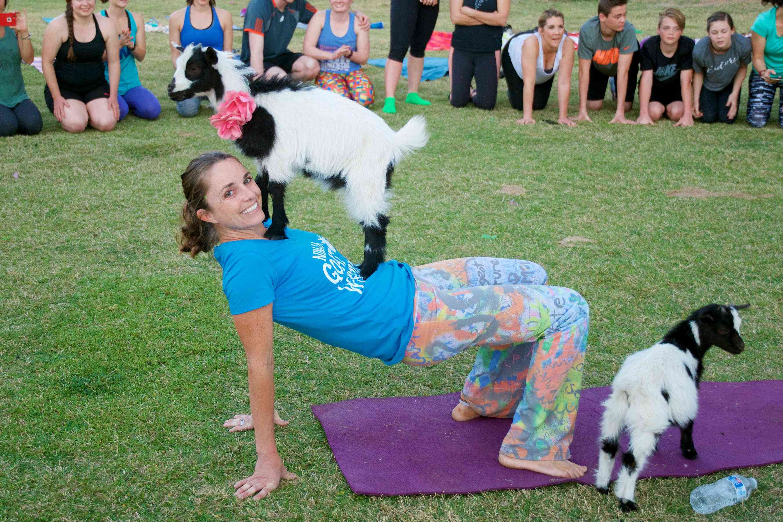 goat yoga near me