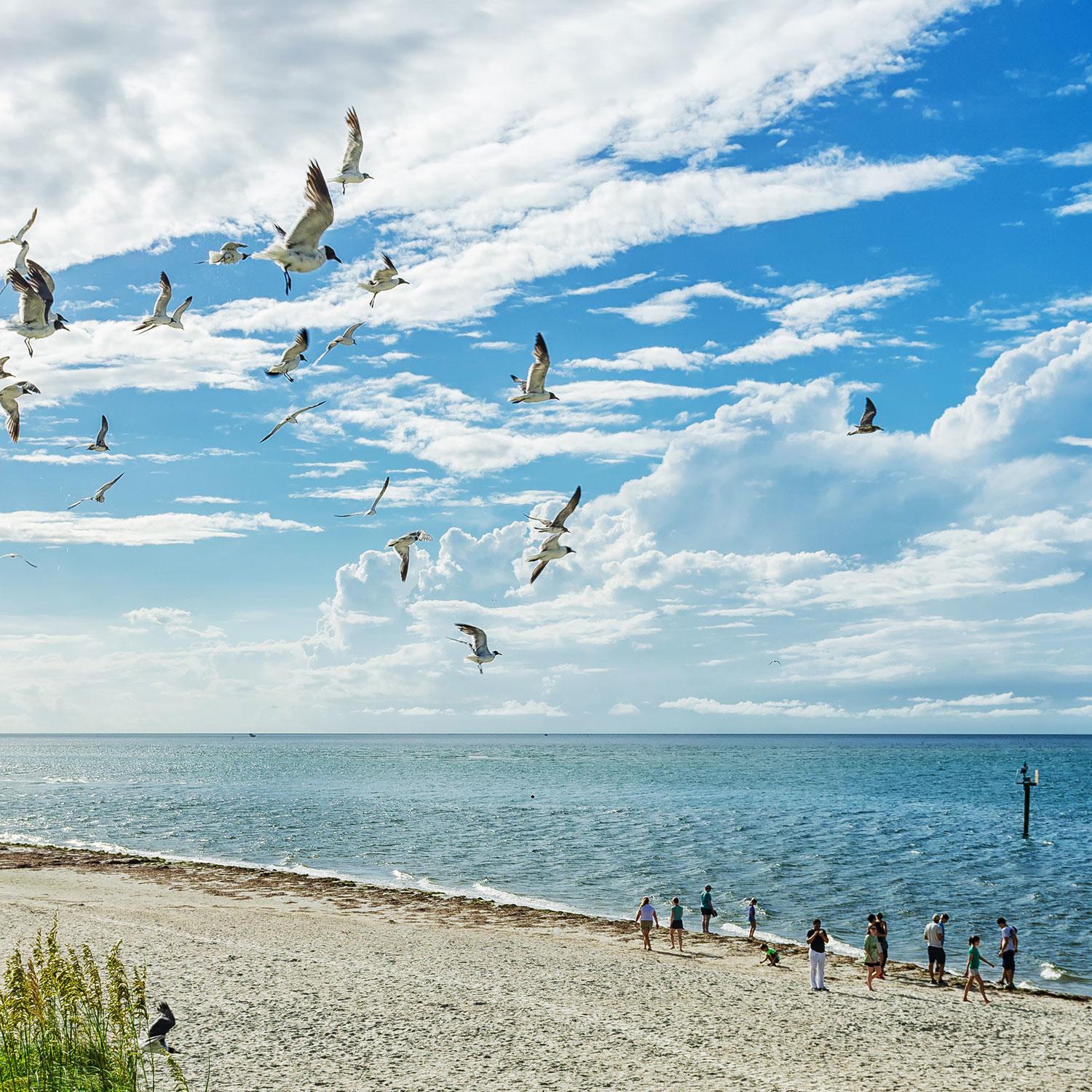 Pirate-Places-Ocracoke-Island-North-Carolina